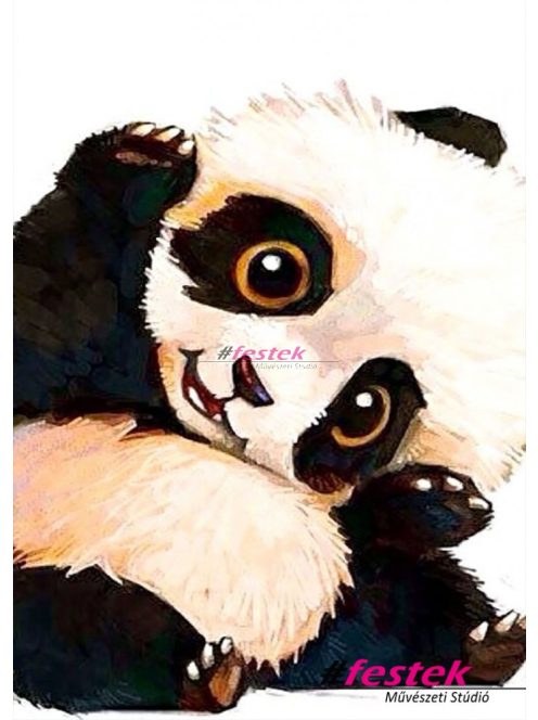 Panda - Otthoni élményfestő készlet