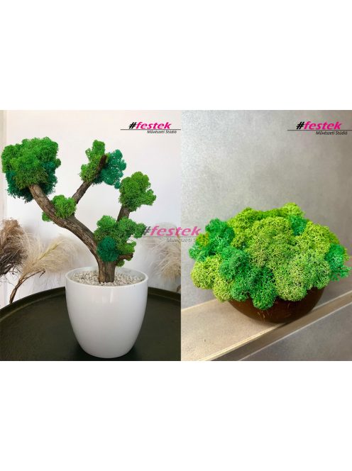 Bonsai fa vagy kókuszdió tál készítése – Május 9. – Szombat:10:00-12:00 (Sopron)