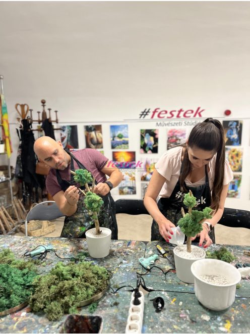 Bonsai fa vagy kókuszdió tál készítése – November 15. – Vasárnap:16:30-18:30 (Sopron)