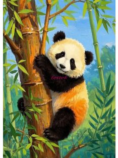 Panda – Június 13. – Szombat:17:30-20:30-ig (Sopron)